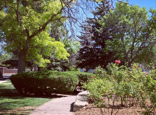 DF3B774B-9C4D-4C0A-90F1-59ABBB305A6E